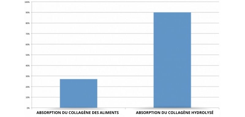 Absorption du collagène