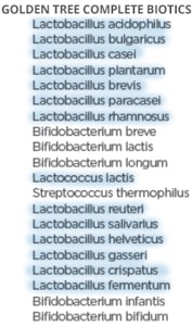 Lactobacilles